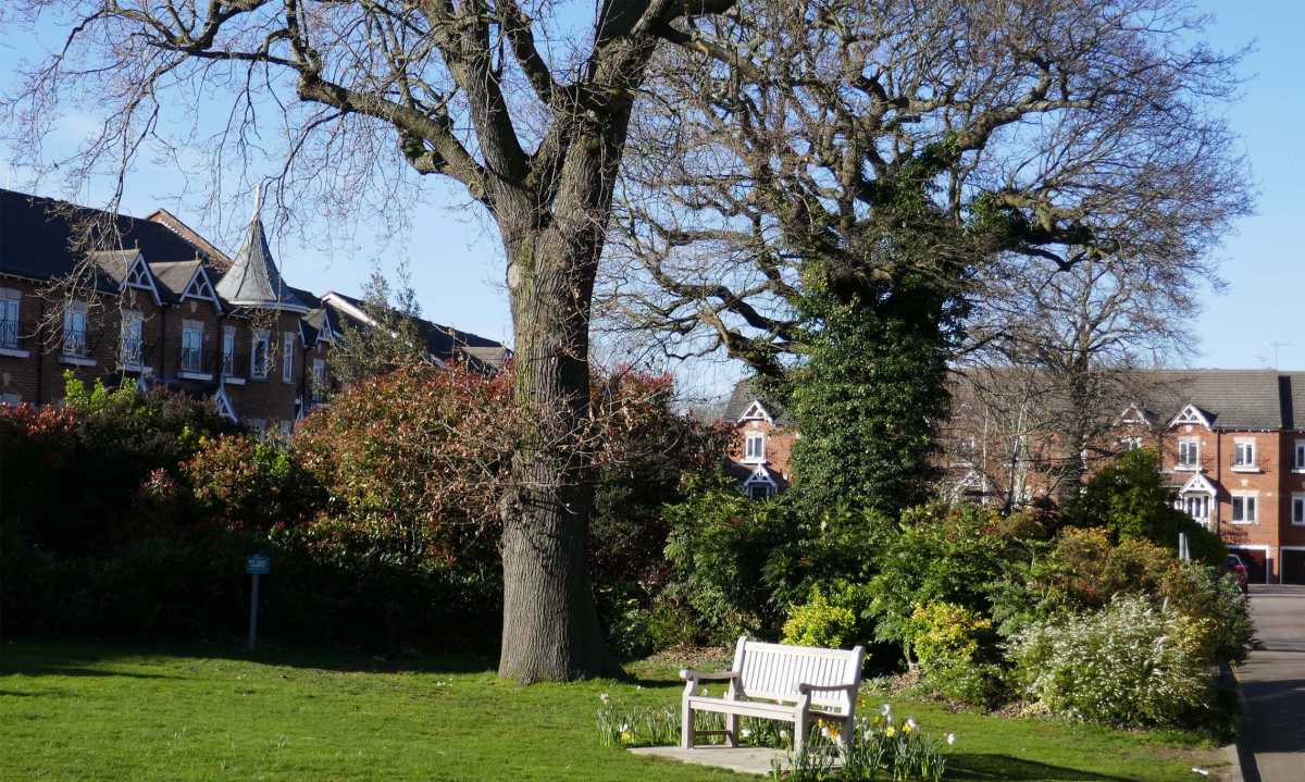 Photograph of the Lynwood Estate on a sunny day.